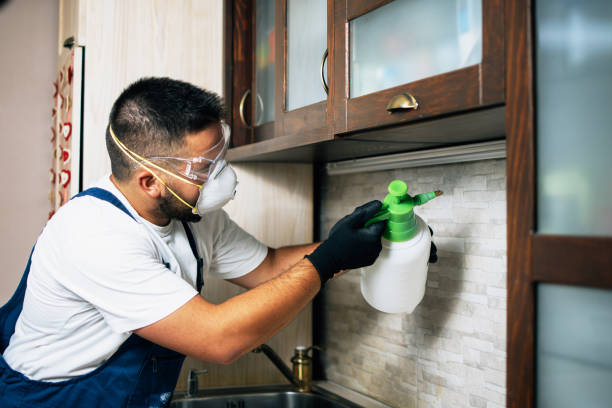 Best Bed Bug Extermination  in Estes Park, CO