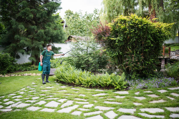 Best Best Pest Control Companies  in Estes Park, CO