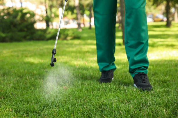Best Best Pest Control Companies  in Estes Park, CO