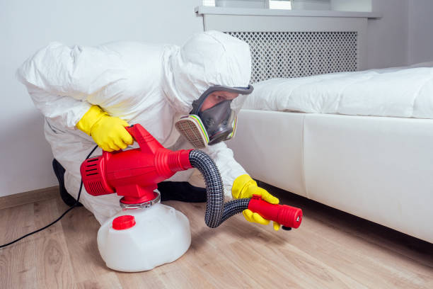 Best Exterminator Services  in Estes Park, CO