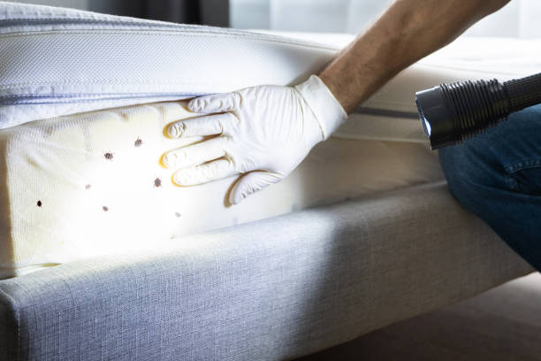 Best Pest Inspection Near Me  in Estes Park, CO