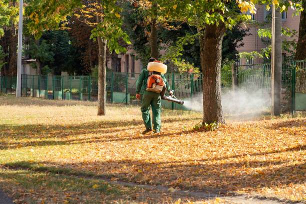 Best Residential Pest Control  in Estes Park, CO