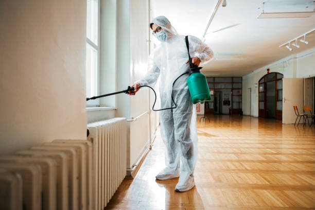 Best Cockroach Control Services  in Estes Park, CO