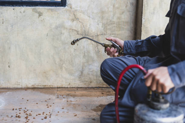 Best Flea Control Services  in Estes Park, CO